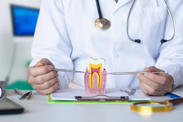 Best Knocked-Out Tooth (Avulsed Tooth) Treatment in Charlestown, IN